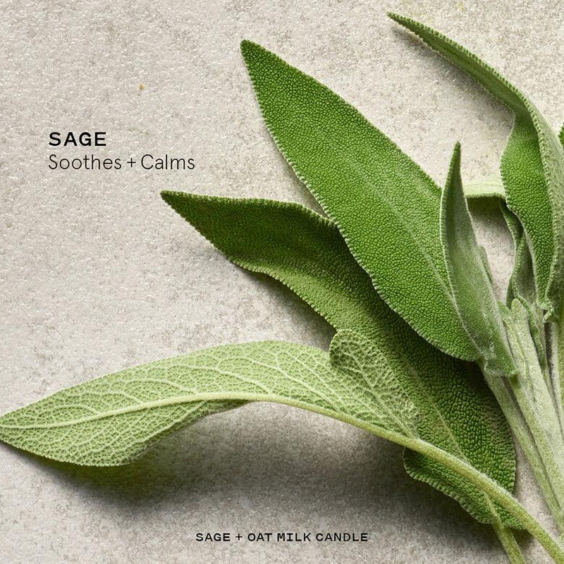 Sage + Oat Milk Candle