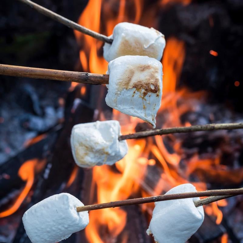 Marshmallow Bonfire | Smokless | Holidays